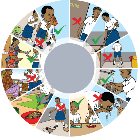 Wheel of Hygiene
